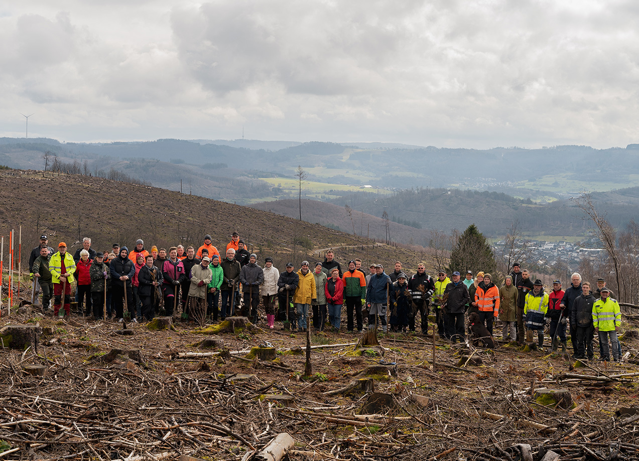 Zukunftswald der Friedhelm Loh Group: Gemeinsam Bäume versetzt